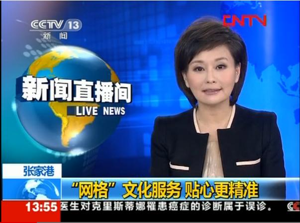 CCTV-HD频道2008年度报告