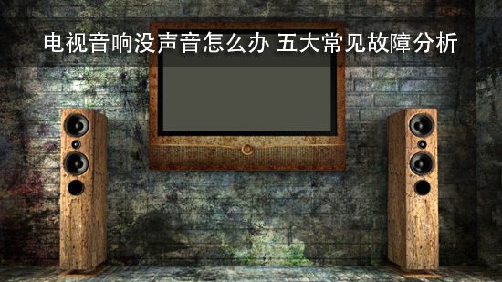 电视音响没声音怎么办 五大常见故障分析