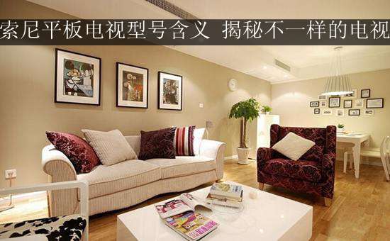 索尼平板电视型号含义 揭秘不一样的电视